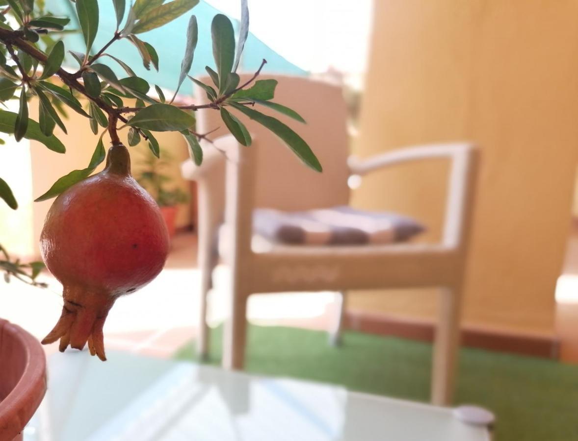 לה זוביה Relax & Home, Apartamento Con Terraza Y Parking מראה חיצוני תמונה